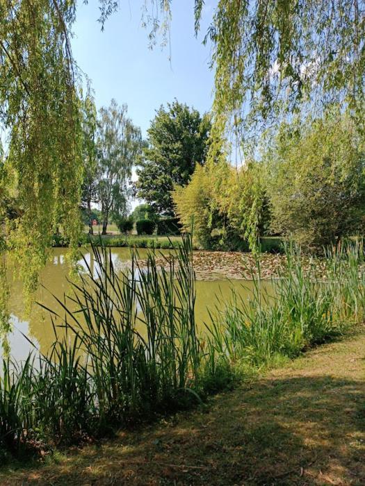 Comme A La Maison Pres Des Chateaux De La Loire Feings  Buitenkant foto